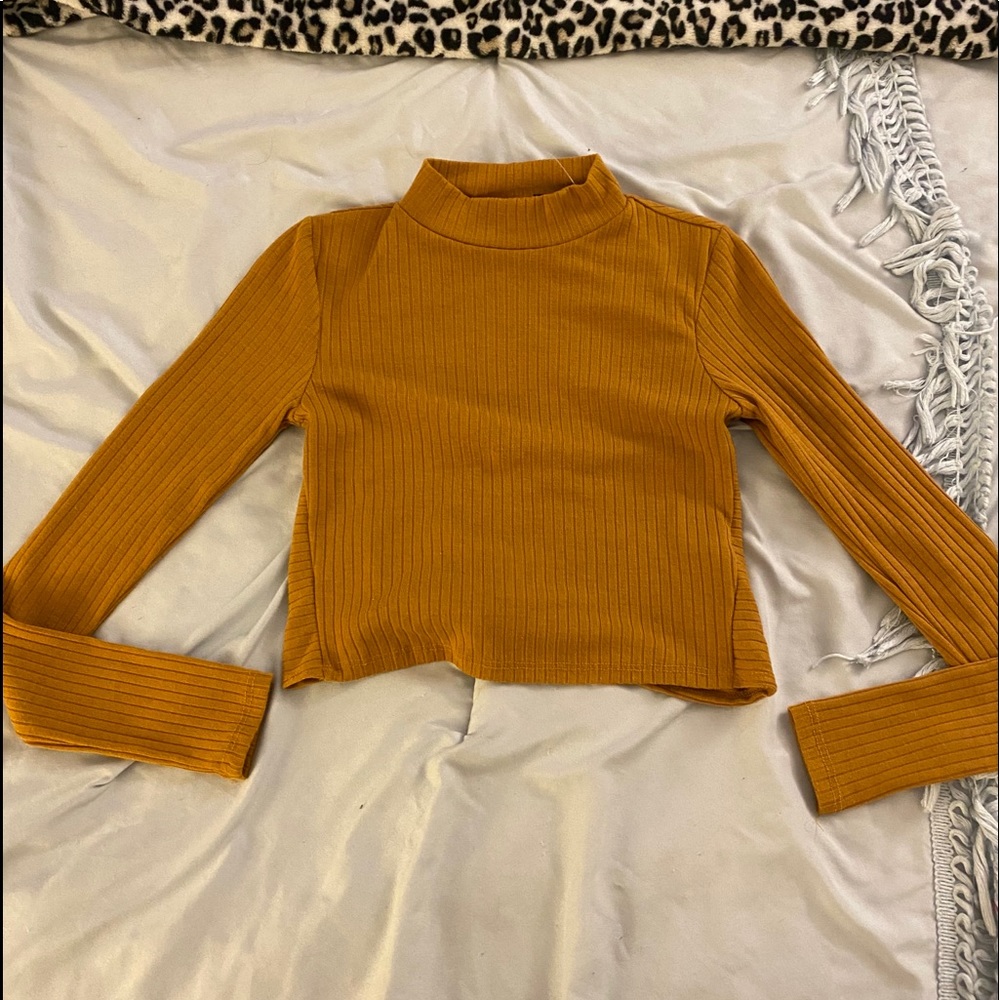 Long sleeve crop top
